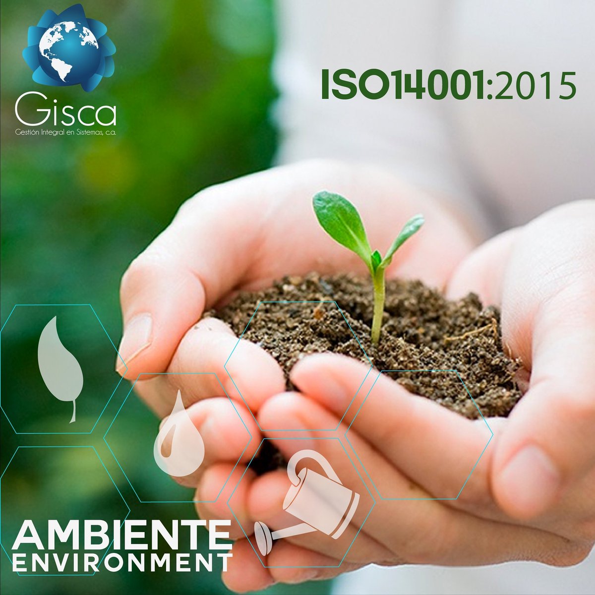 GestionGisca's tweet photo. ISO 14001:2015 specifies the requirements for an environmental management system that an organization can use to enhance its environmental performance.
#environment #impact #environmentalimpact #cycle #life #isostandars #green #conservation #greencompany #enviromentalorganization https://t.co/vec6At7030