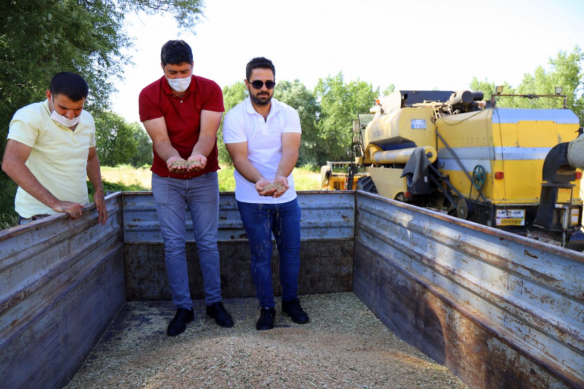 İlimizde Yerel Tohumların Çoğaltılması ve Yaygınlaştırılması Projesi kapsamında ekilen yazlık Vusare çeşidi Buğdayımızın biçimini gerçekleştirerek gelecek kuşaklara aktarmak üzere muhafaza altına aldık.
<a href="/bekirpakdemirli/">Dr. Bekir Pakdemirli</a> <a href="/TCTarim/">T.C. Tarım ve Orman Bakanlığı</a> <a href="/bingolvaliligi/">T.C. Bingöl Valiliği</a> <a href="/2023Bingol/">2023 Bingöl Vizyonu</a> <a href="/BurhanBahadir12/">Dr.Burhan BAHADIR</a>