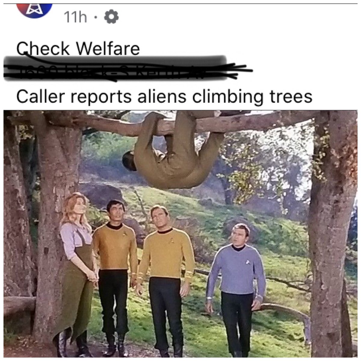 LeonardNimoyFan's tweet photo. Guys, this is a REAL local news alert from my city... I just added the photo... 😂 @WilliamShatner #startrek #trekker #spock #kirk Dang it Spock, I thought Kirk told you to stay on the ship! https://t.co/Cl3vX20hEG