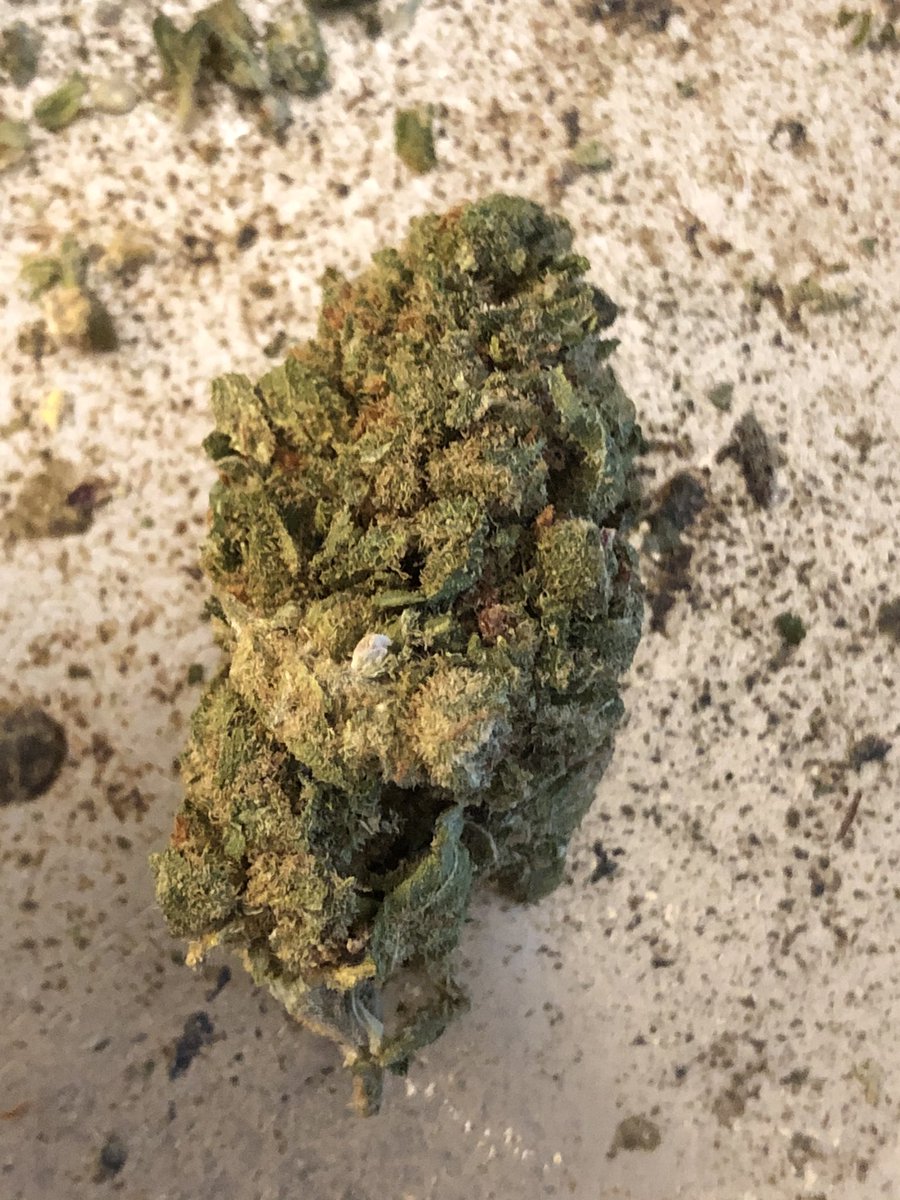 jenicaviolet's tweet photo. Currently smoking mystery 1/8th number two: XJ-13 #WakeAndBake #ItsMyWeekend https://t.co/1yRqKbhCSh