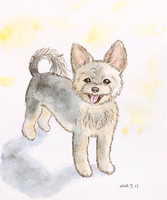 ヨーチワのtwitterイラスト検索結果 古い順