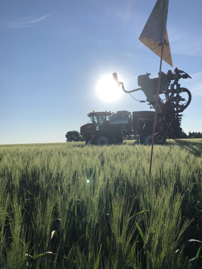 kehlscrone's tweet photo. Doing on farm replicated trials is some work, but the knowledge is always worth it! Plus getting to hang with this guy @VaughnCrone always puts a smile on my face! Very blessed that I get to call you my dad 🌾 #onfarmtrials #knowledge #Caramba #MiravisAce #durum #CDCAlloy https://t.co/tfocAaAoYc