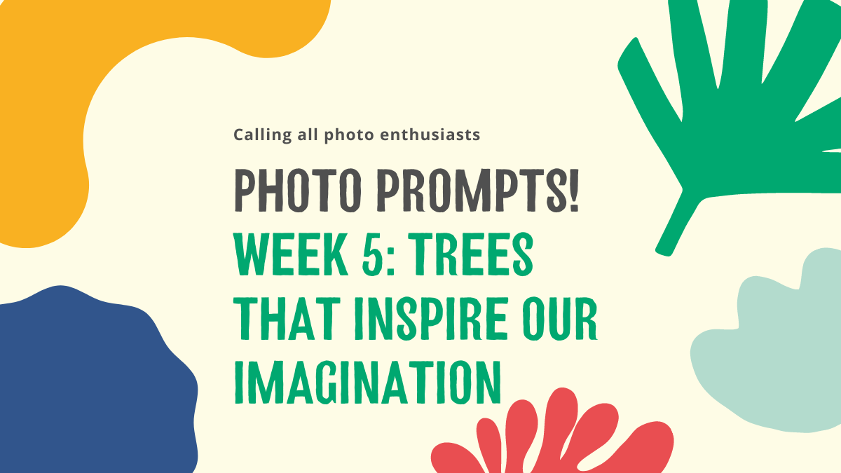 TreesforCities's tweet photo. Don't forget to join our weekly photo challenge! #TFCsnaps
Learn more: https://t.co/Ix9AssesGX https://t.co/oEoF5McY5M
