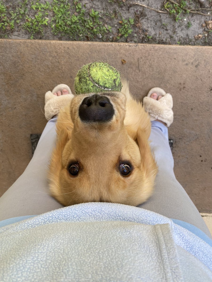 Goob morning, let’s play fetchies!