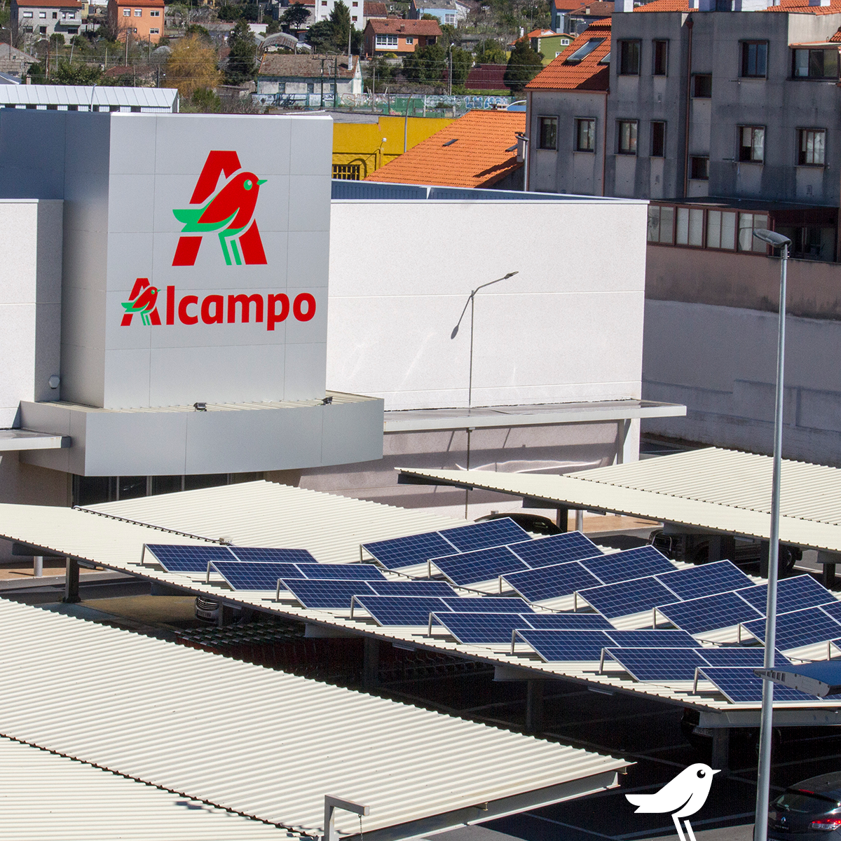 suelo Acostumbrados a productos quimicos Alcampo on Twitter: "¡Hoy celebramos!🥳 Auchan Retail España, ha obtenido la certificación de su sistema de Gestión de la Energía, otorgado por AENOR, cumpliendo los requisitos de la norma Internacional ISO 50001 suelo Acostumbrados a productos quimicos Alcampo on Twitter: "¡Hoy celebramos!🥳 Auchan Retail España, ha obtenido la certificación de su sistema de Gestión de la Energía, otorgado por AENOR, cumpliendo los requisitos de la norma Internacional ISO 50001