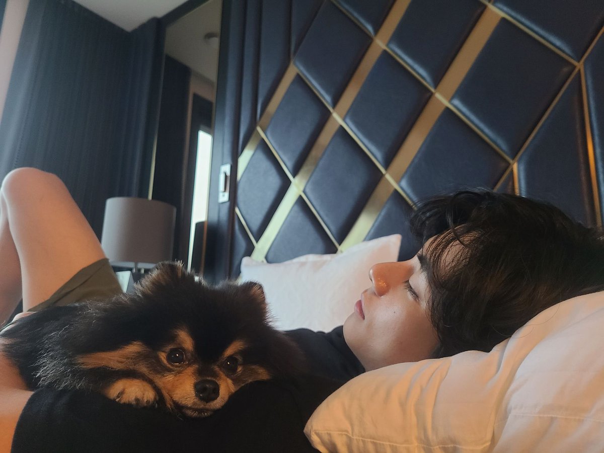 mozzikv's tweet photo. 🐶🐯 https://t.co/of7Sv2Stp7