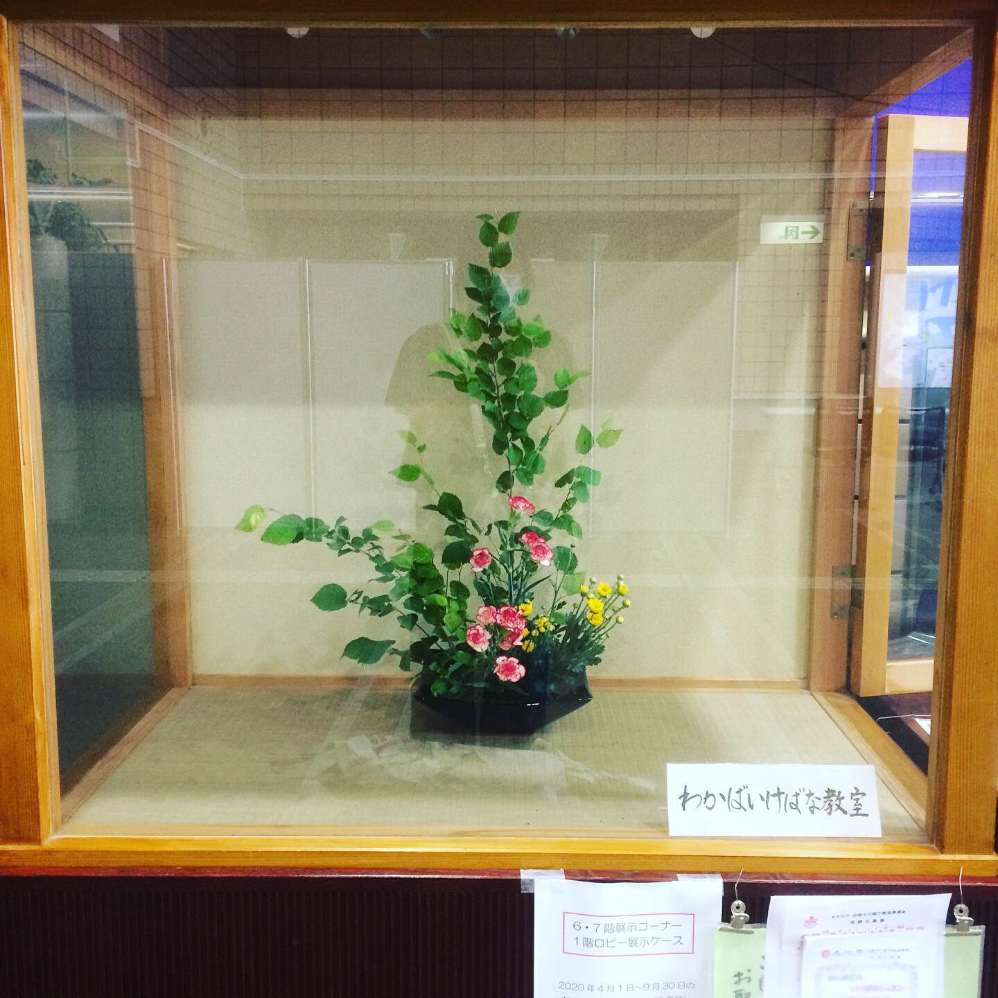 わかばいけばな教室 今回の盛花の花材は たくさんありました 夏らしく と思っても難しいですね 次は18日の午前中です コロナ対策をしっかりしたいと思います 現在 受講生を募集中です 是非 覗きに来てください いけばな 子供 伝統文化教室