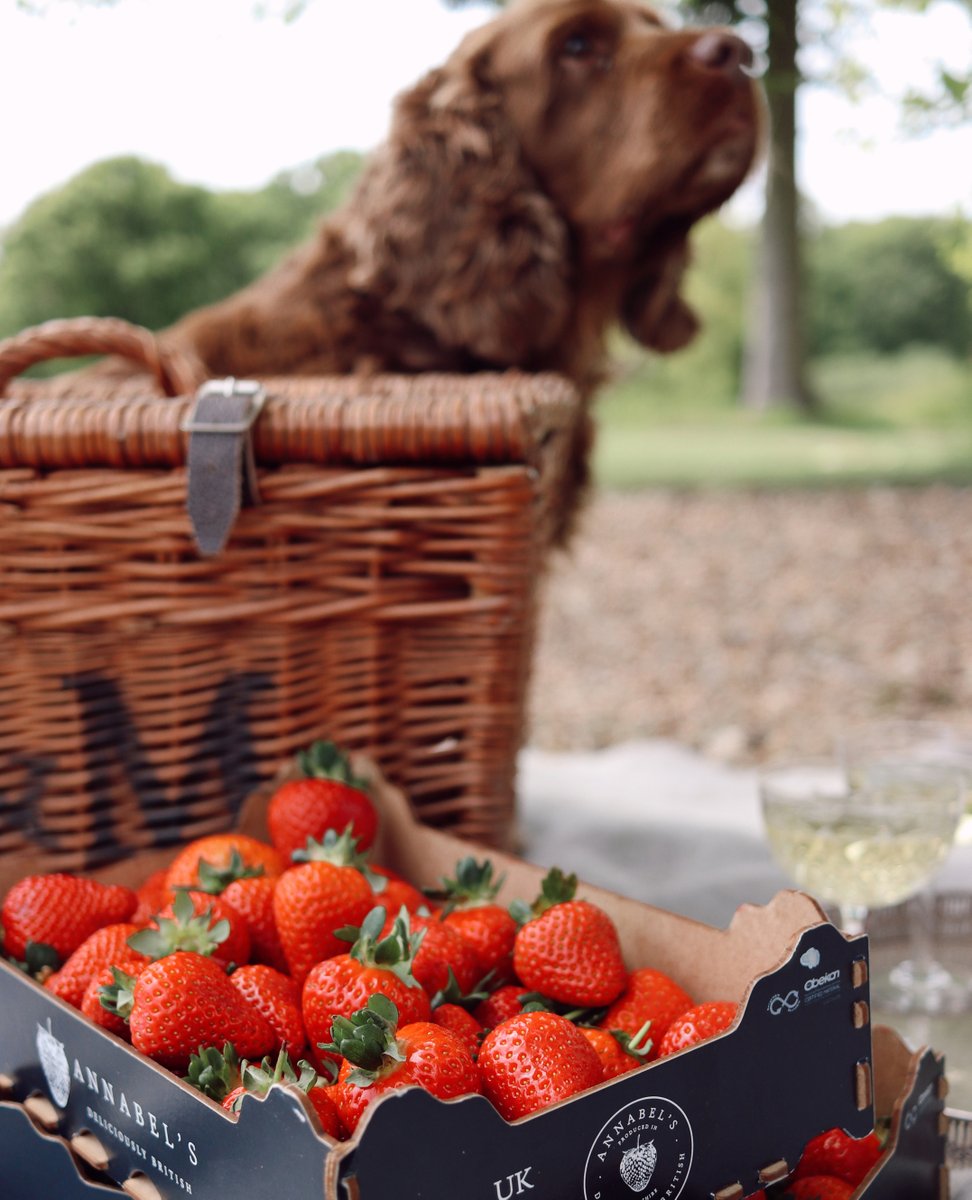 Stock up for those weekend picnics with our bumper trays of strawberries! 🍓 #FriYay #WeekendReady