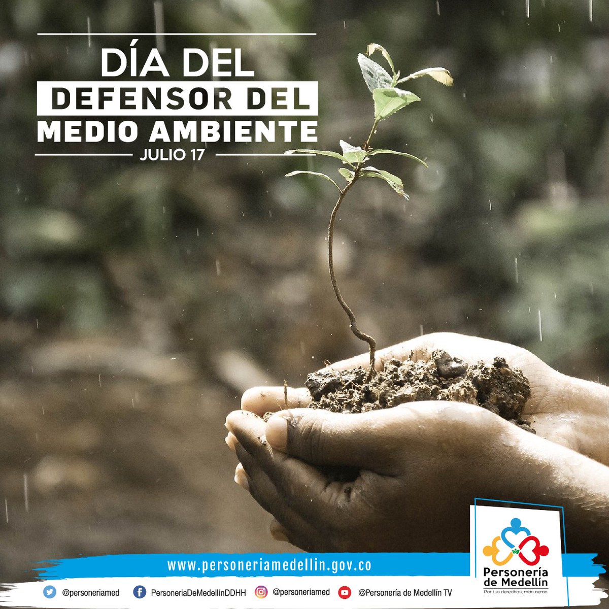 personeriamed's tweet photo. El #DefensorDelMedioAmbiente promueve la concienciación con respecto a la importancia del cuidado de la biodiversidad, asi mismo, es la oportunidad para expresar el reconocimiento y gratitud hacia las personas que trabajan en defensa de la naturaleza. #PorTusDerechosMásCerca https://t.co/PXi62ojukI