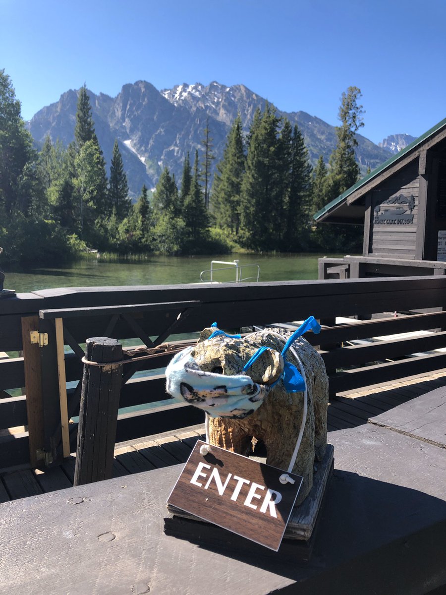 When our wedding was canceled, we decided to take a honeymoon road trip out west Problem is, a lot of Americans had the same ideaWe thought it might be helpful if we shared what we learned traveling to US National Parks during the coronavirus pandemic(Thread)