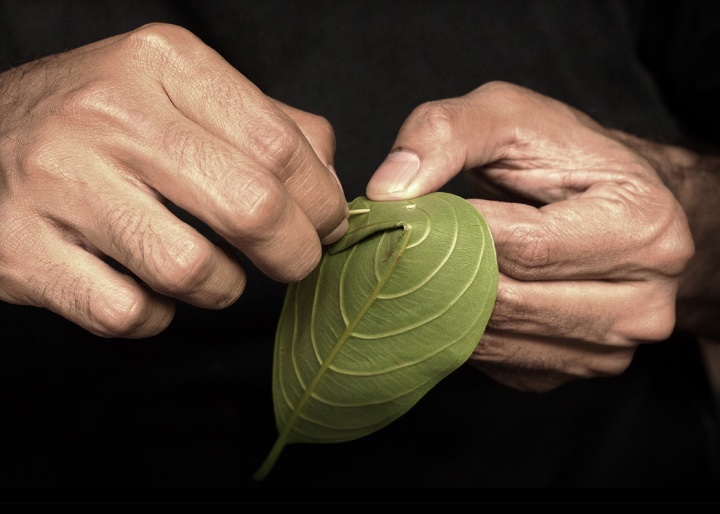 I cannot not but look back at my childhood and smile at the wisdom of my forefathers who were more in sync with the environment.My grandparents used plantain leaves while eating or used a small spoon made of Jack fruit tree leaves to drink porridge. 3/n