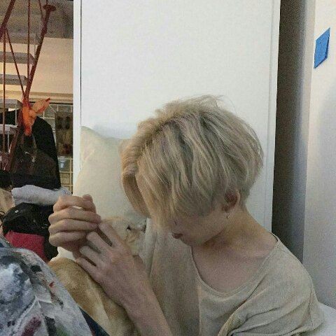 australia_line's tweet photo. ау в которой чан успел сто раз пожалеть, что притащил домой этого кота, потому что феликс теперь уделяет внимание только ему одному. но по настоящему злиться он не может.
– может мне уйти?
– ТОЛЬКО ПОПРОБУЙ. https://t.co/0Ktj6CIZdF