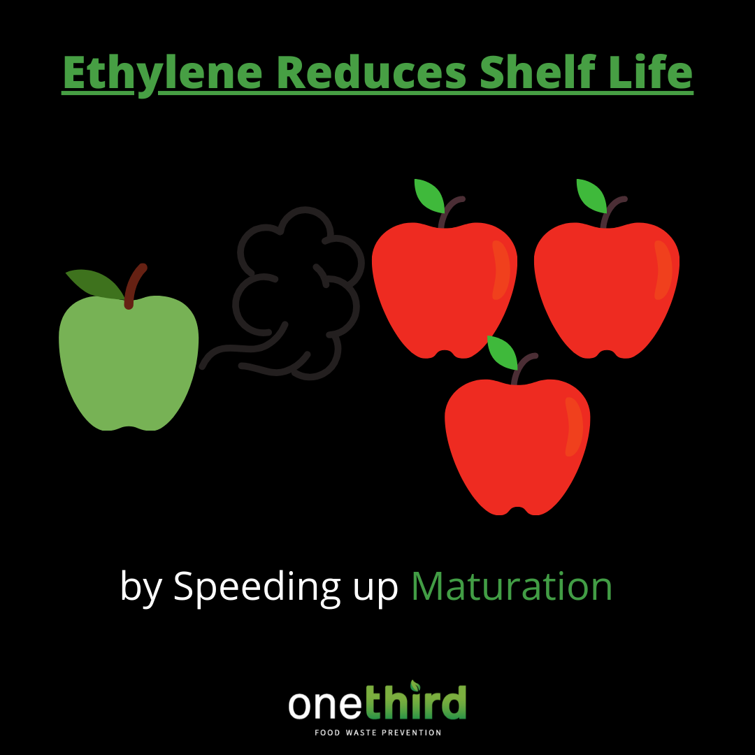 Ethylene is a chemical released by produce to start the ripening process. However, it can also cause products to have a shorter shelf life and eventually be wasted.

By controlling ethylene, shelf life can be extended.