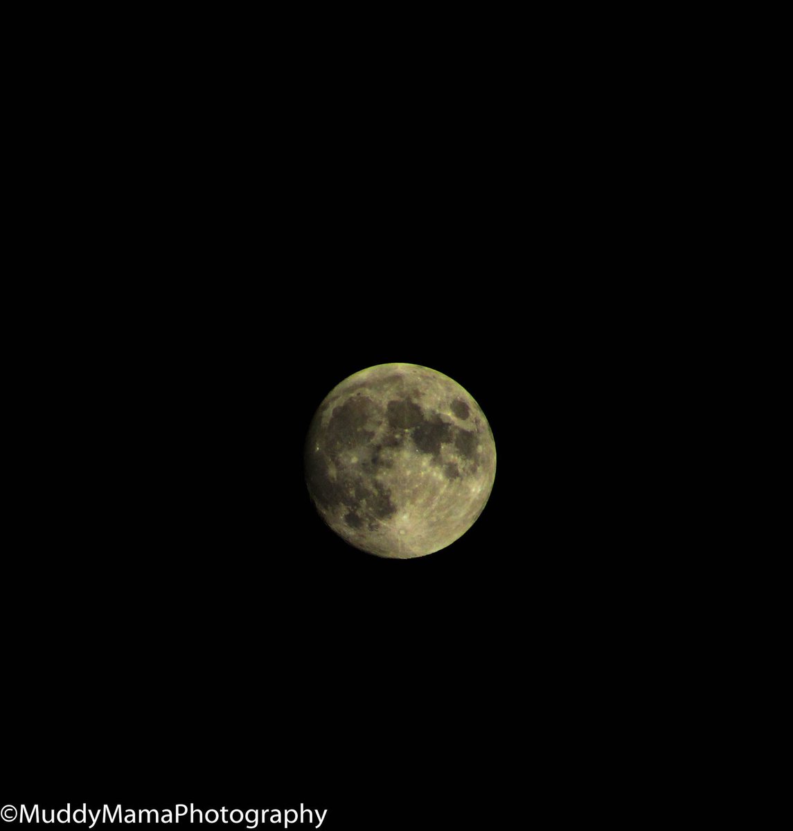 muddy_mama's tweet photo. #WaxingGibbous moon from July 3, 2020  🌖I’m literally so proud of myself for these shots 🌟 #MoonPhoto #Moon #PhotographyIsArt #photographer #space #LUNAR https://t.co/3yaXCEMMgB