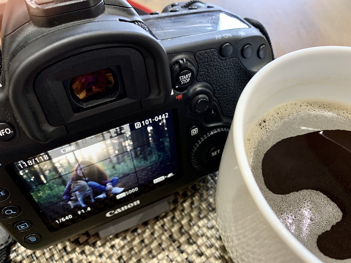 PhotographyCand's tweet photo. Fotos madrugadoras 😊 gracias @mariscastillooo 🙏🏻 https://t.co/N6zLt3lazO