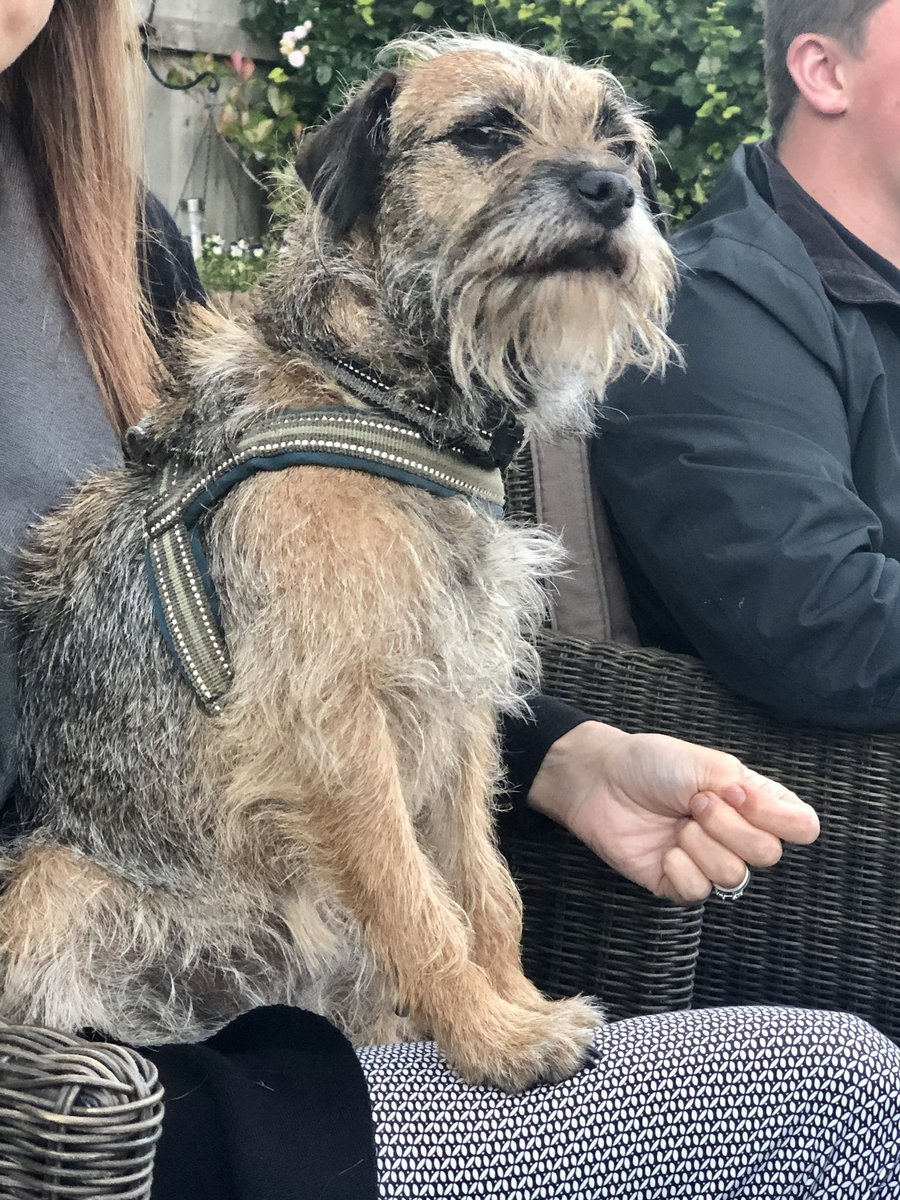 Rubytheborder's tweet image. Before and after my Lockdown haircut!