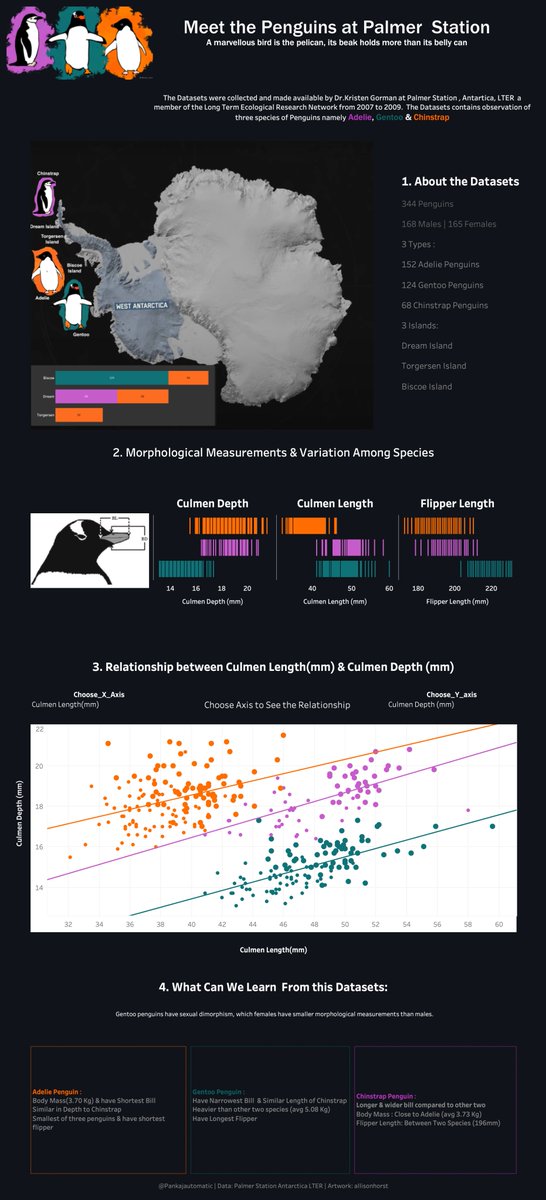 Pankajautomatic's tweet image. #datafam Here&apos;s my #dataviz submission for #MakeoverMonday wk_28 2020 Penguins of Palmer Station #Antarctica  

Data provided: Dr. Kristen Gorman @PalmerLTER
ArtWork: @allison_horst

Link: lnkd.in/epVYsUW

Feedback Welcome @TriMyData @CharlieHTableau 
#Tableau #penguins