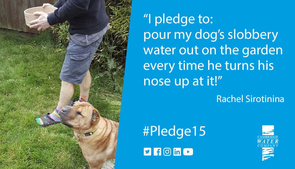 Cambswater's tweet photo. In May and June you told us how you'd #Pledge15 to help save water, now and for future generations. 

We had lots of ideas but there could only be three winners and here they are:

1⃣ Chris
2⃣ Rachel
3⃣ Lukasz

https://t.co/aodmFp4Knh https://t.co/2hKmWKfC5Z
