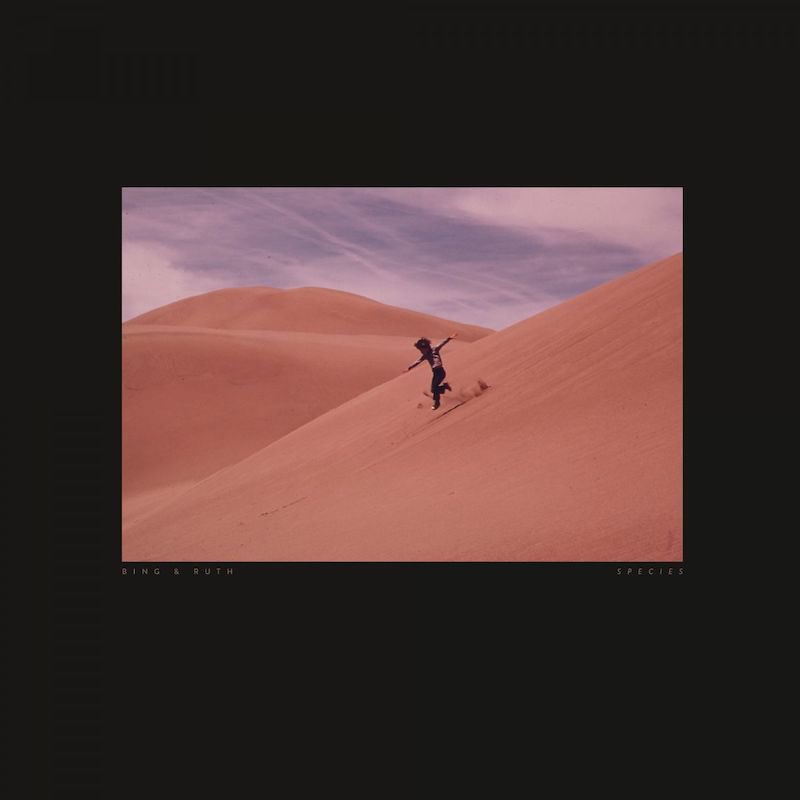 Bing & Ruth tweet media