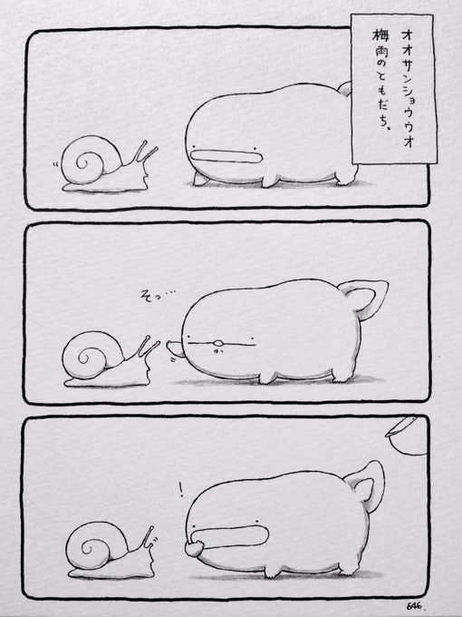 オオサンショウウオ、梅雨のともだち。 