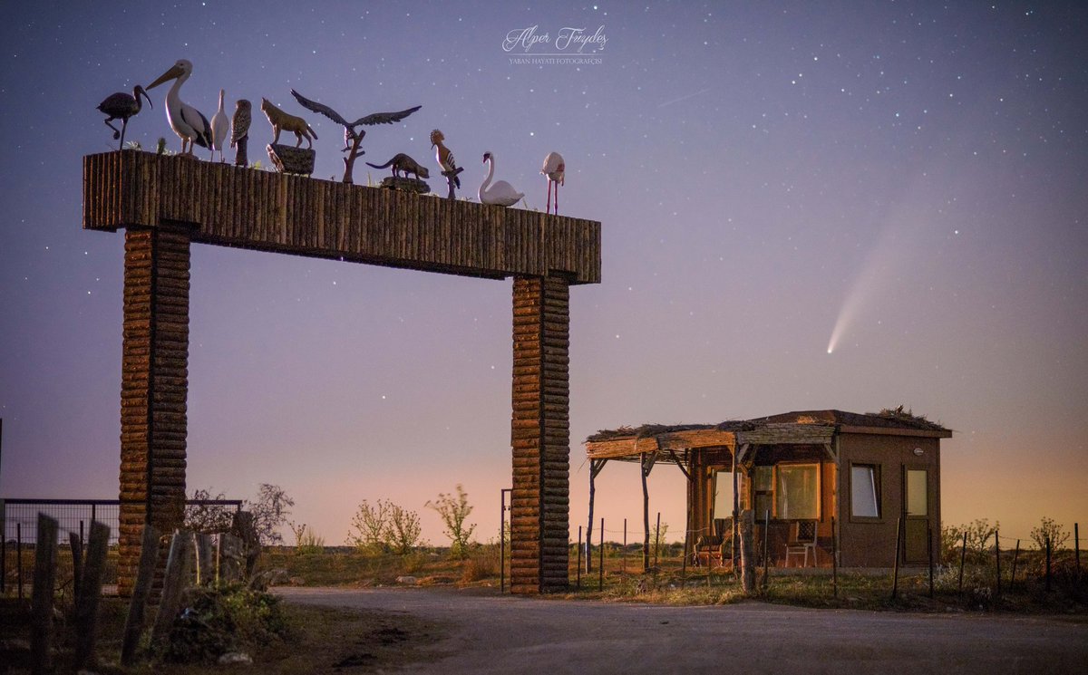 Düşünsenize bu kuyruklu yıldızı dünyada bizden önce  M.Ö. 4000'de Sümerler gördü sadece. O zaman daha karanlık olan dünyamızdan kim bilir ne düşüncelerle izlediler bu geçişi. Bu gök olayının tekrarı ise bundan 6 bin yıl sonra yani 8800'de. Şu uzay ne mucizevi bir şey
#NEOWISE