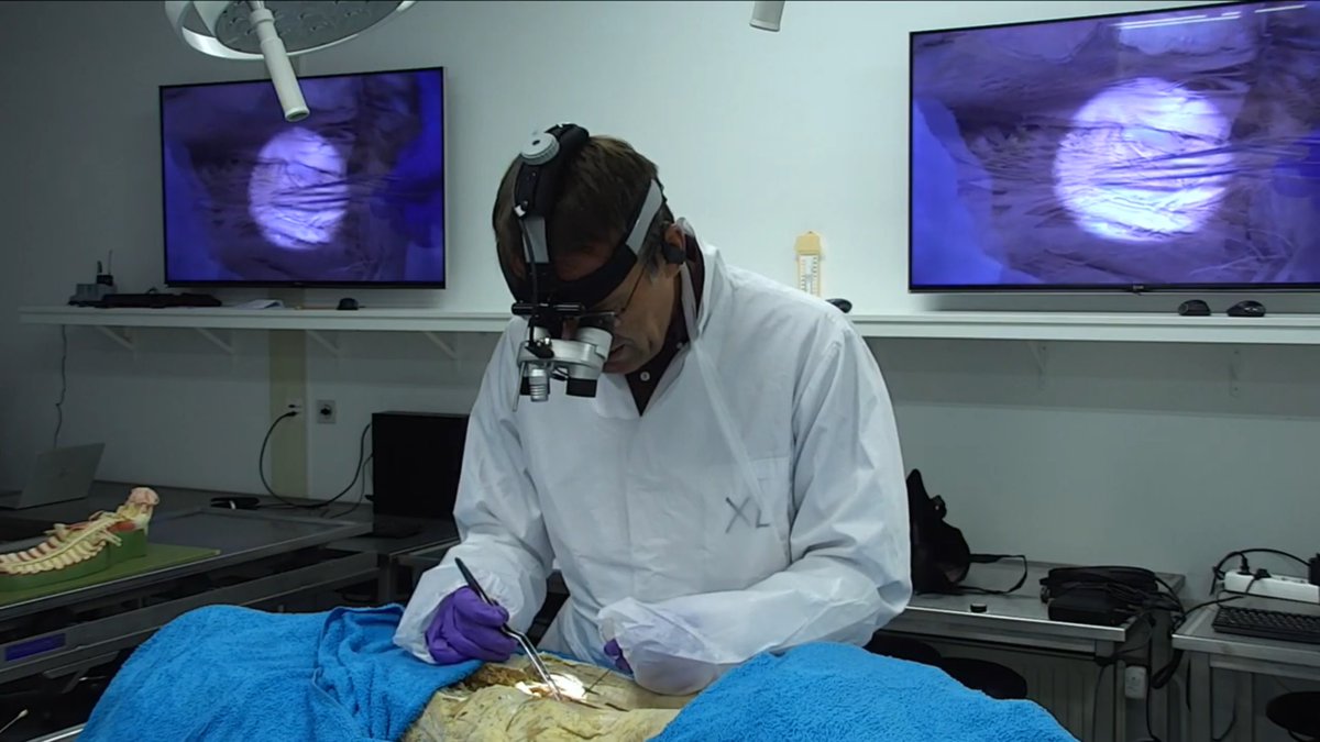 CrossCare (@crosscare_vlnl) on Twitter photo De allereerste proef met een online live anatomische demonstratie van wervelkolomchirurgie heeft plaatsgeovnden <a href="/MaastrichtUMC/">Maastricht UMC+</a>. Prof. Henk van Santbrink: “De 3D-beelden waren scherp en stabiel, ook de zoomfunctie werkte goed, dit systeem heeft een enorm potentieel” #zorginnovatie De allereerste proef met een online live anatomische demonstratie van wervelkolomchirurgie heeft plaatsgeovnden <a href="/MaastrichtUMC/">Maastricht UMC+</a>. Prof. Henk van Santbrink: “De 3D-beelden waren scherp en stabiel, ook de zoomfunctie werkte goed, dit systeem heeft een enorm potentieel” #zorginnovatie