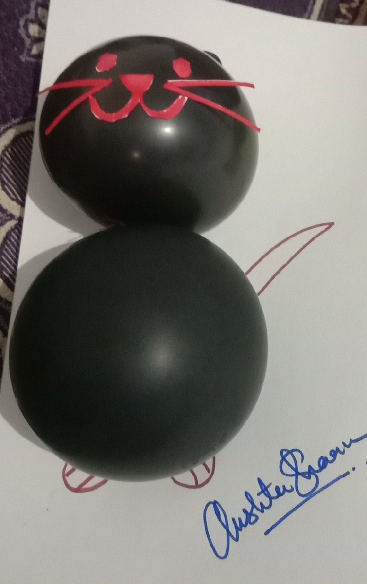 cheshtasharma3's tweet photo. #fun #Time with #children. #crafts #activitiy for #children. #imagination #creativity #art #balloon #childhood https://t.co/Ft18MC2o8R