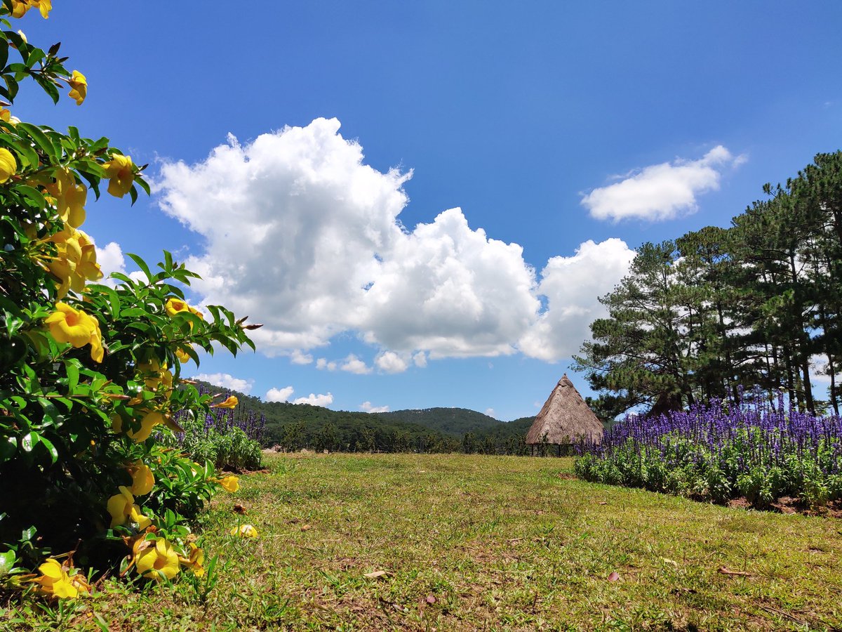 getlostinvietn1's tweet photo. Small small things
#getlostinvietnam #vietnam #skylovers #summer #lifeisshort #justgo #sky #traveltheworld #hey #dalat #travel #goldenvalley #makeithappen #backpakers #explore #enchanted #enjoylife #traveltheworld #nature #photography #vietnamtravel https://t.co/ZoFRufXsBt