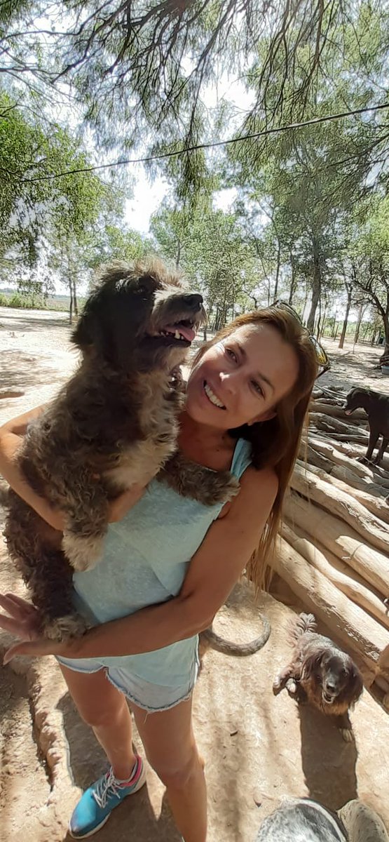 Huerto Navarro tweet media