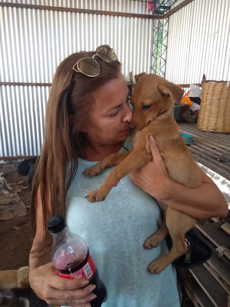 Huerto Navarro tweet media