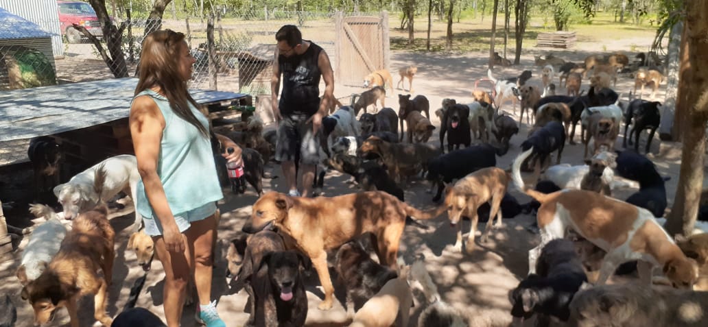 Huerto Navarro tweet media