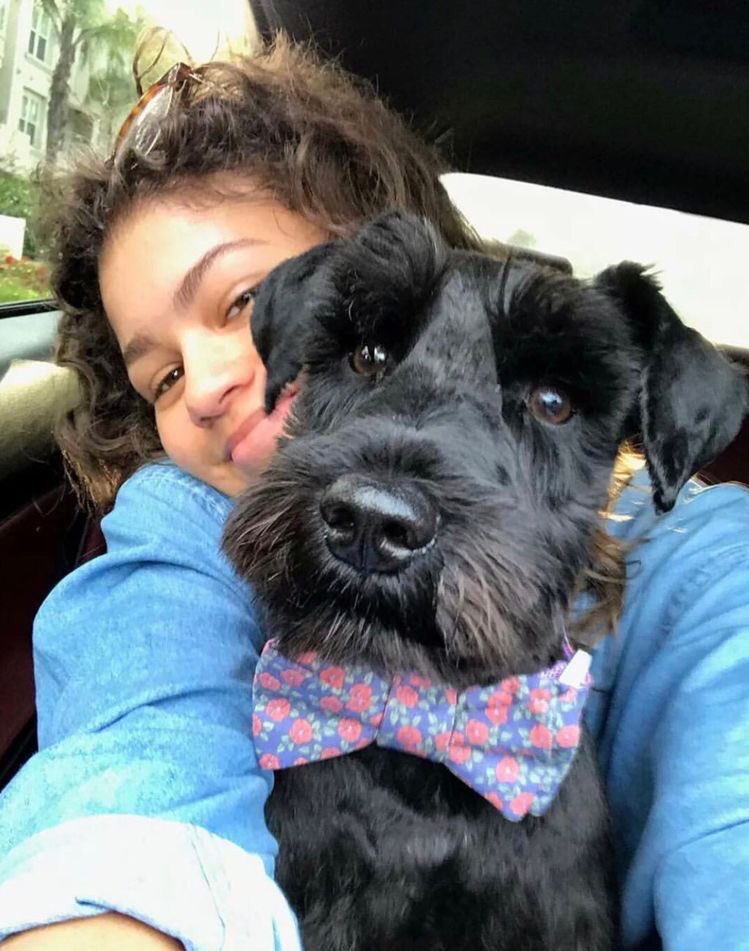 your camera roll if zendaya was your girlfriend, a thread: