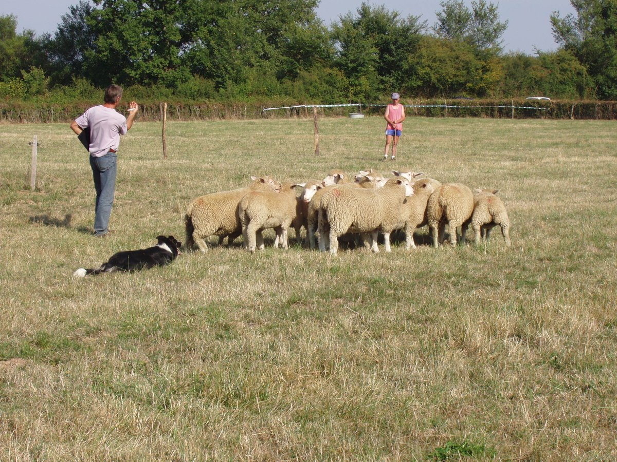 JA Allier tweet media