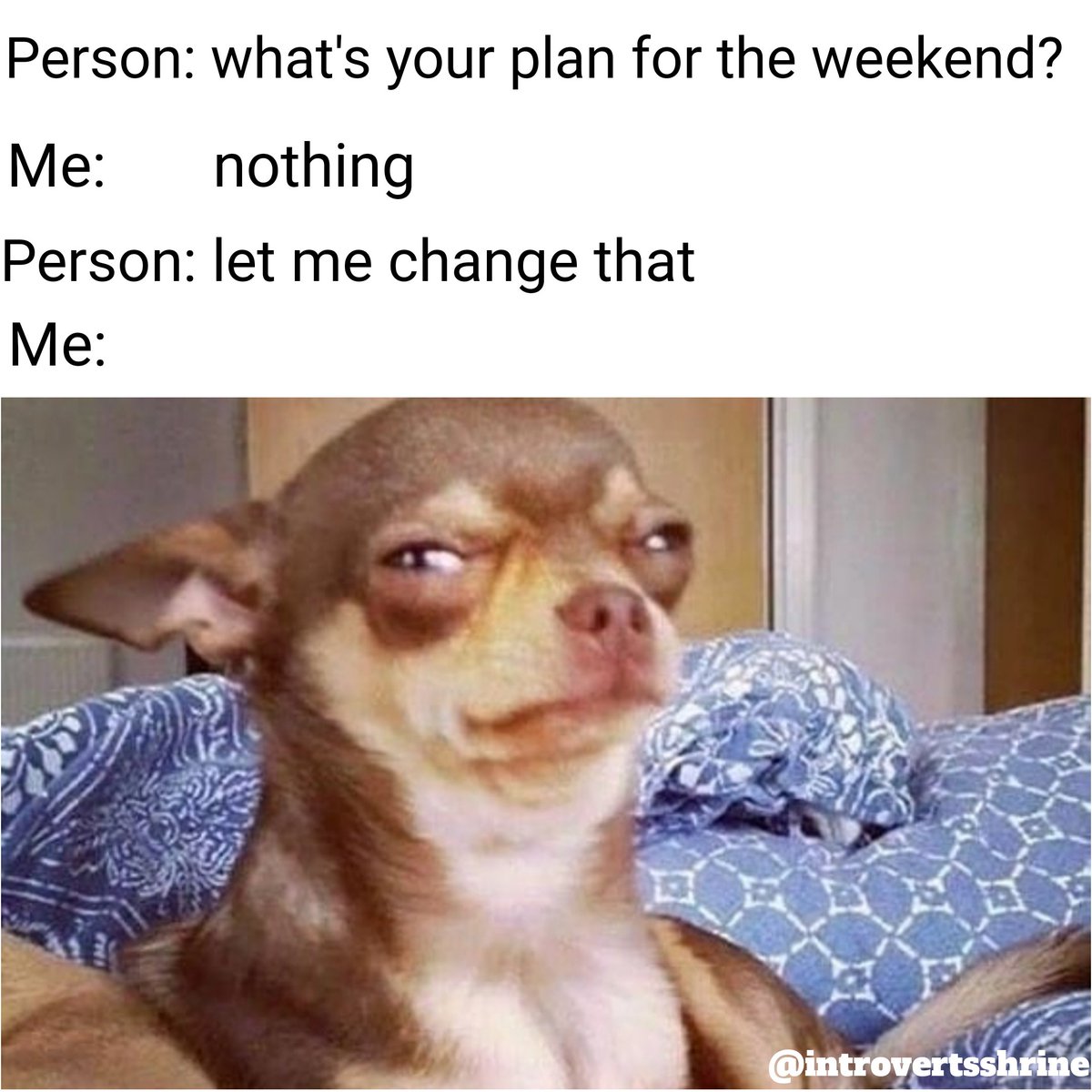 IntrovertShrine's tweet photo. Whatchu mean? 🌚

Who else can relate👇

Follow us @IntrovertShrine

#introvert #introverts #introvertlife #introverted #introvertsbelike #introvertproblems #introvertstruggles #introvertsunite #introvertmemes #Tacha500Tags #NoApologies  #memes #introvertsshrine #fridaymorning https://t.co/zLggDrk46P