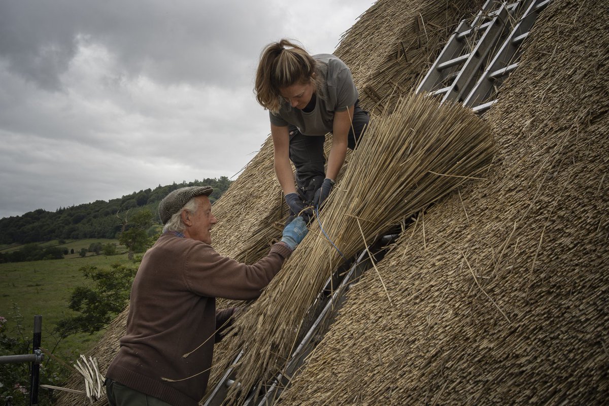 #THATCH Father & daughter, William & Phoebe re-thatching the last thatched house in Farndale, North Yorkshire, July 2020 #thatchers #northyorkshire #northyorkmoors #nationalpark #traditionalcraft #heritagecrafts #englishheritage #historicengland #landmarktrust #nationaltrust
