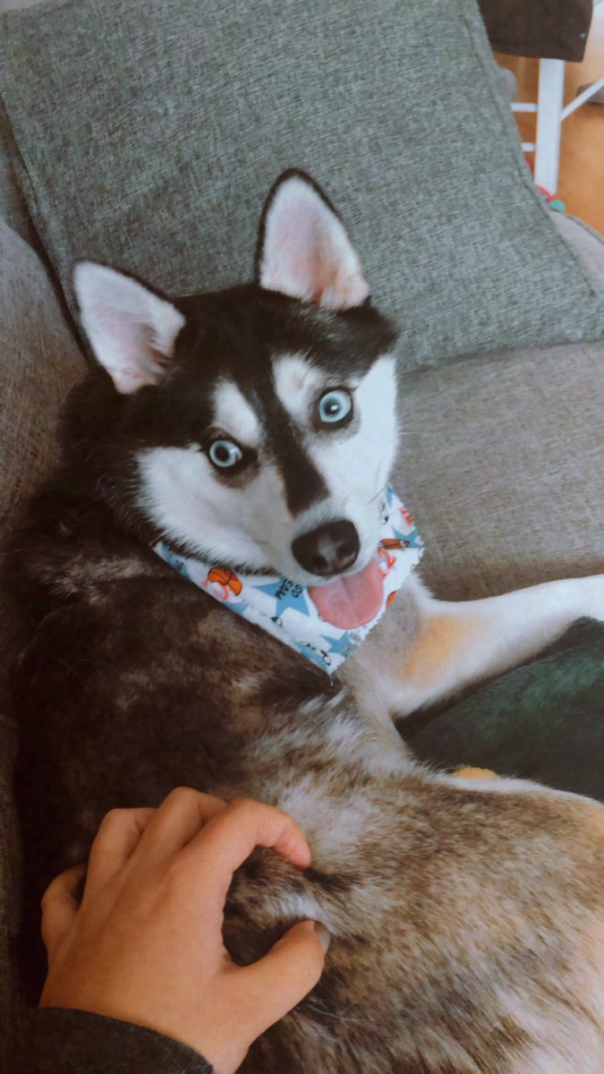 Sarah Miller tweet media