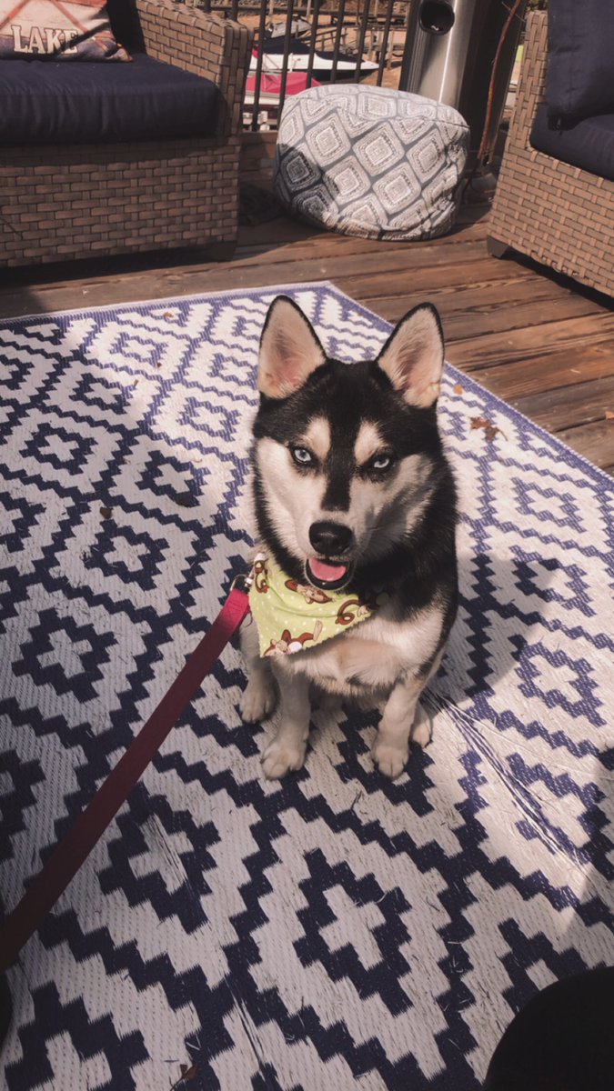 Sarah Miller tweet media