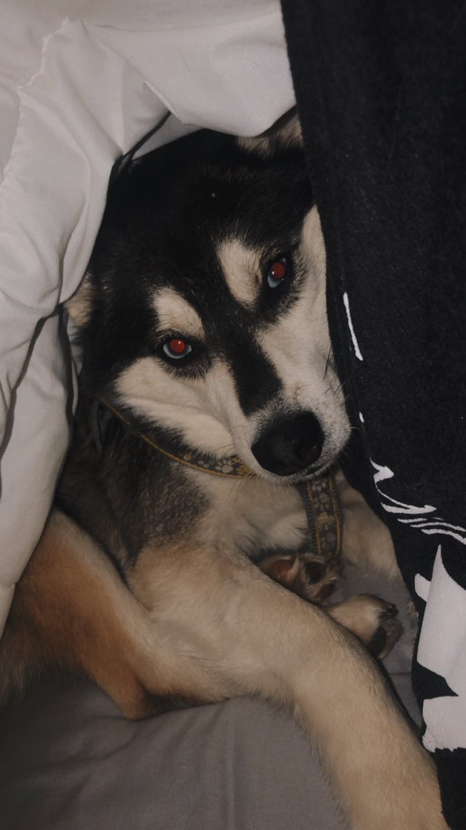 Sarah Miller tweet media