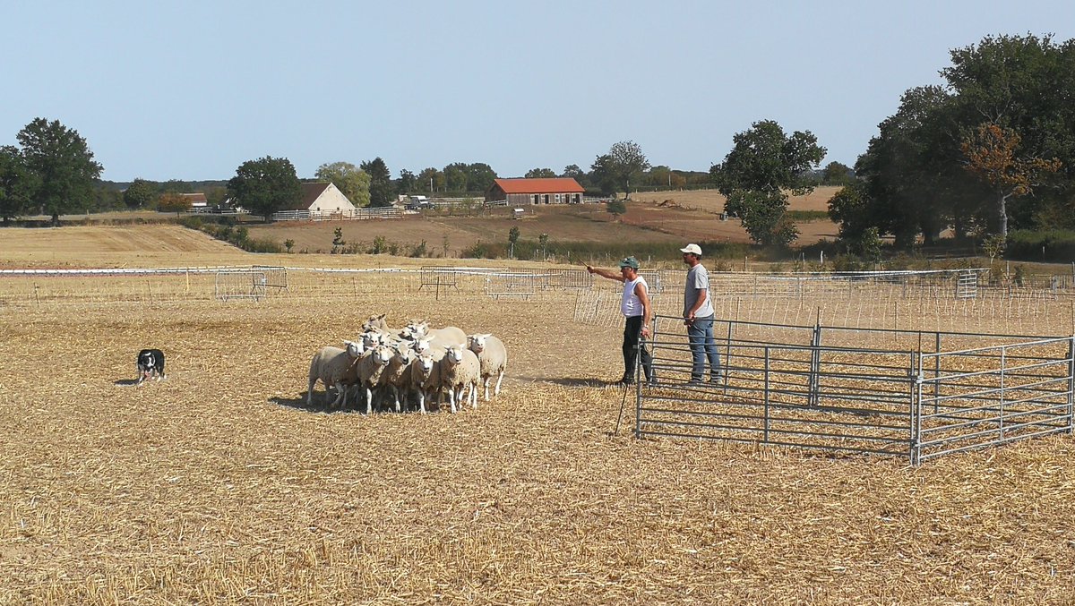 JA Allier tweet media