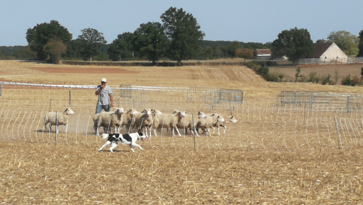 JA Allier tweet media