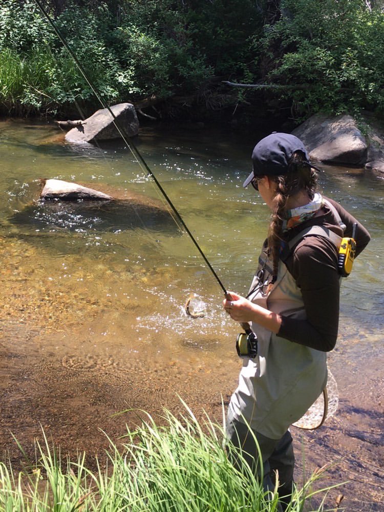 wo_flyfishing's tweet photo. Vivien - Fish on! 🎣 #flygal #onthefly https://t.co/cdxUFU7Oxx