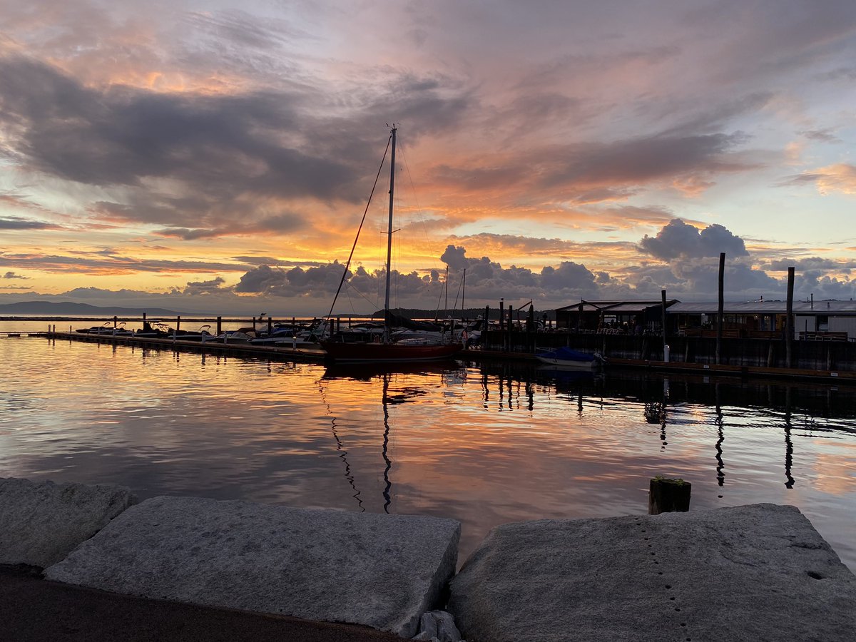 David Jenemann tweet media