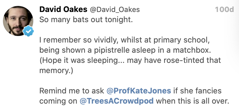 David_Oakes's tweet photo. 🦇
100 days ago - to the day - I tweeted the attached.
🦇
On Monday, if you subscribe to @TreesACrowdpod, you’ll hear what @ProfKateJones and I chatted about a couple of weeks back.
🦇
I am VERY excited to bring you a wholly bat-centric #TreesACrowd!
🦇 https://t.co/BhnWSHTvL2