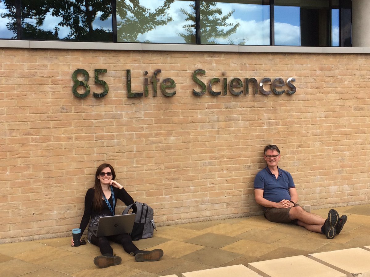LindyHoldenDye's tweet photo. Socially distanced work break โฆ@sotonbiosciโฉ. Open for research that is making a difference. https://t.co/bkRkSlCSAW
