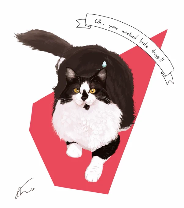 担当させて頂いた保護猫支援グッズイラストのモデル、みるみるちゃんが遂に里親さんの元へ。支援の力になれた事、本当に嬉しく思います。みるみるちゃん、おめでとう?㊗️!!! https://t.co/xA8cjCg6gF 