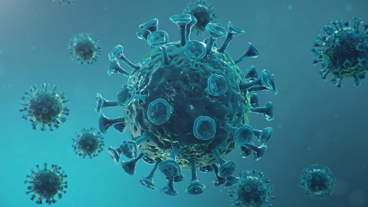 DeRijksteBelgen's tweet photo. NIEUW – Chris Cardon zet de NV #Ziphius #Corona Vaccines klaar - https://t.co/3jGxQYRhf5 https://t.co/LQBqcHPzRe