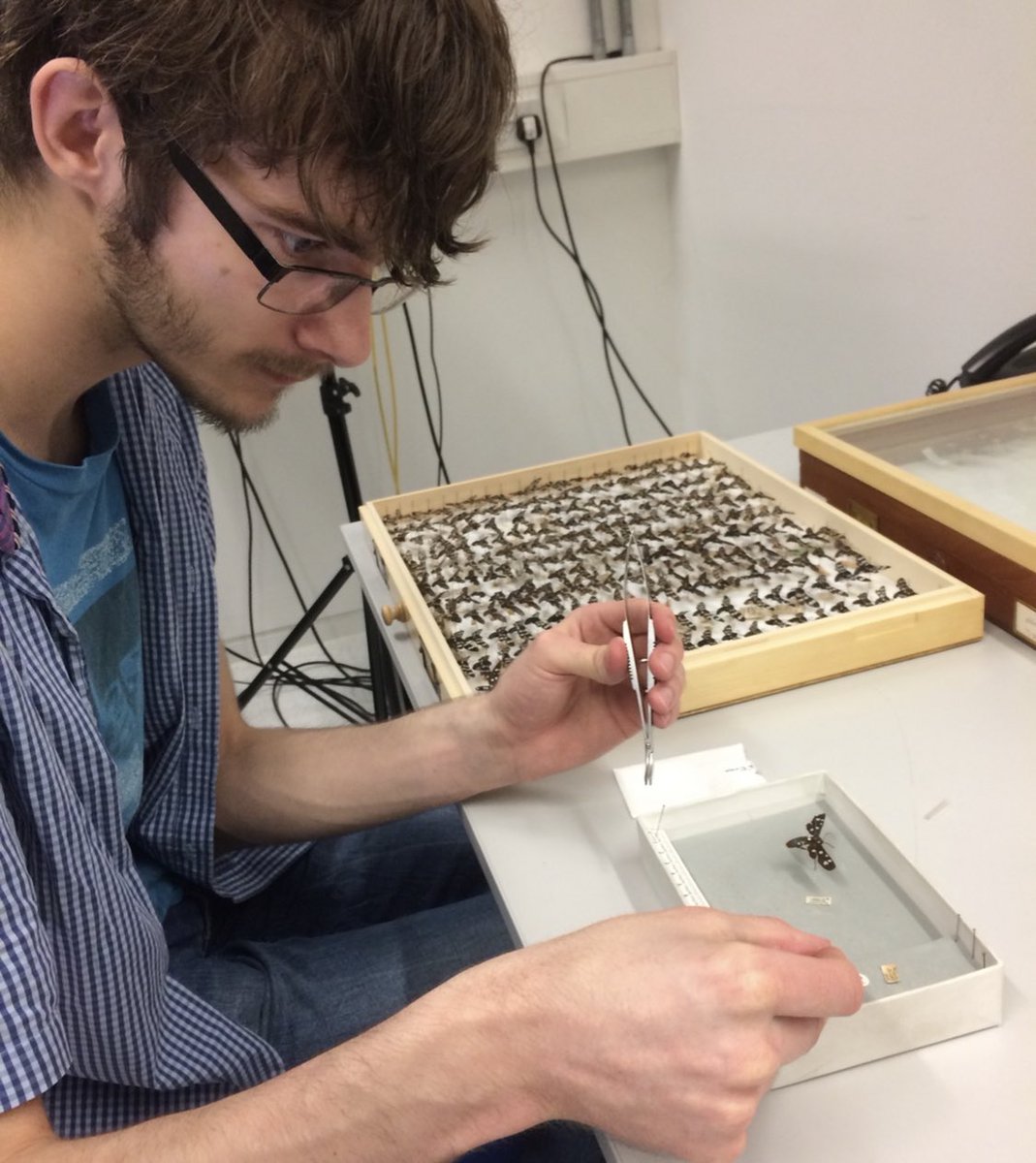 CandyRowe_'s tweet photo. Massive congratulations to @EntomologyCrazy who passed his PhD viva today! Loved working with you on butterfly #ColourPatterns and #Mimicry and look forward to celebrating it style soon! @Julie3Dharris @BehavEvol @nubiosciences #ColSci https://t.co/VJEBkDVnGS