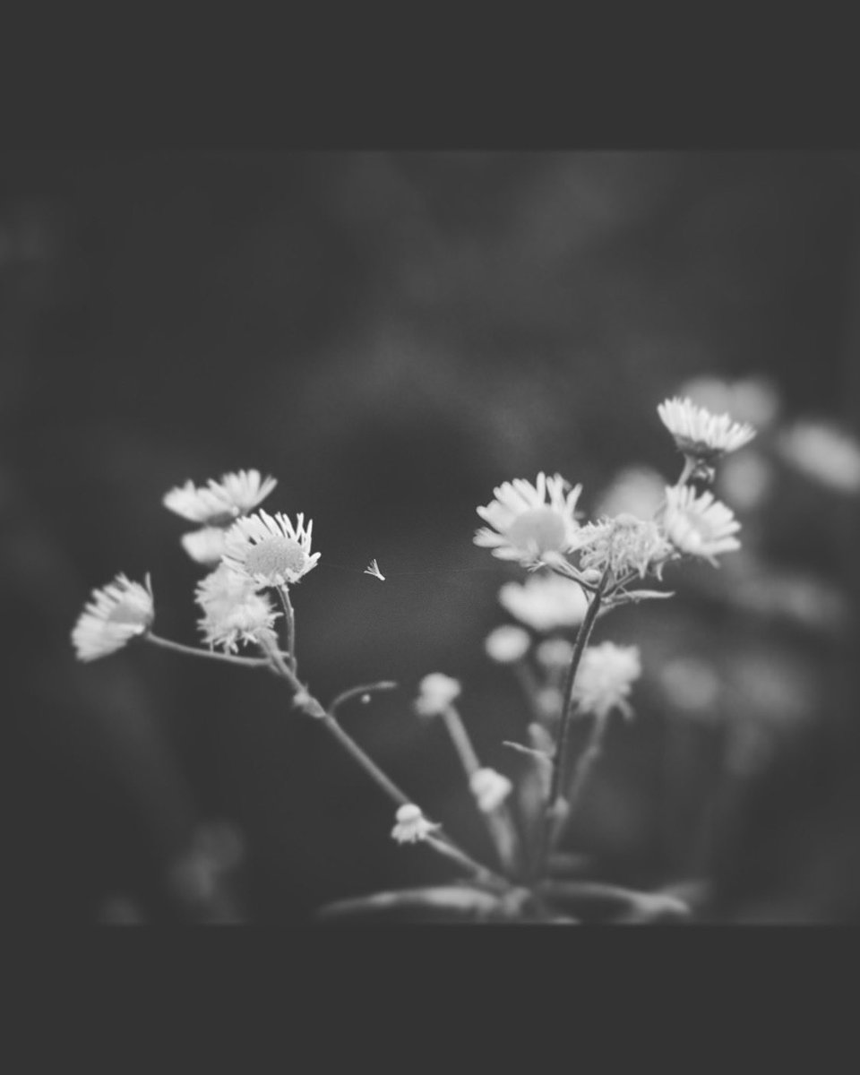 PhiloFilmIssue's tweet image. #NaturePhotography