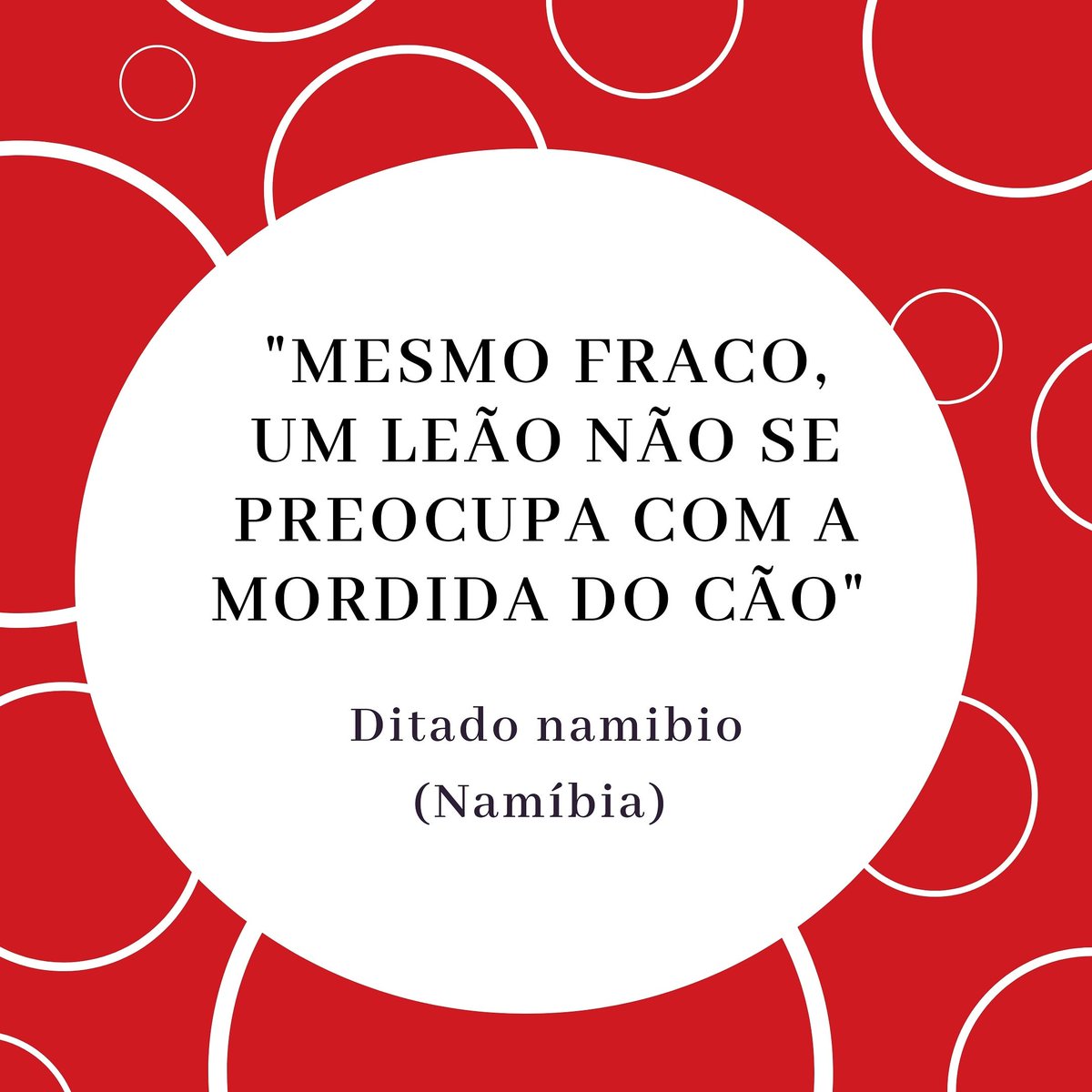TagoElewaD's tweet photo. Fraco não é morto, né? Bora pra luta!
#provérbiosdesexta #proverbs #provérbios #ditados #ditopopular #africanproverb #africa #afrika #namibia #africanpeople #sayings #quotes #africanculture https://t.co/PuELmfKnwn