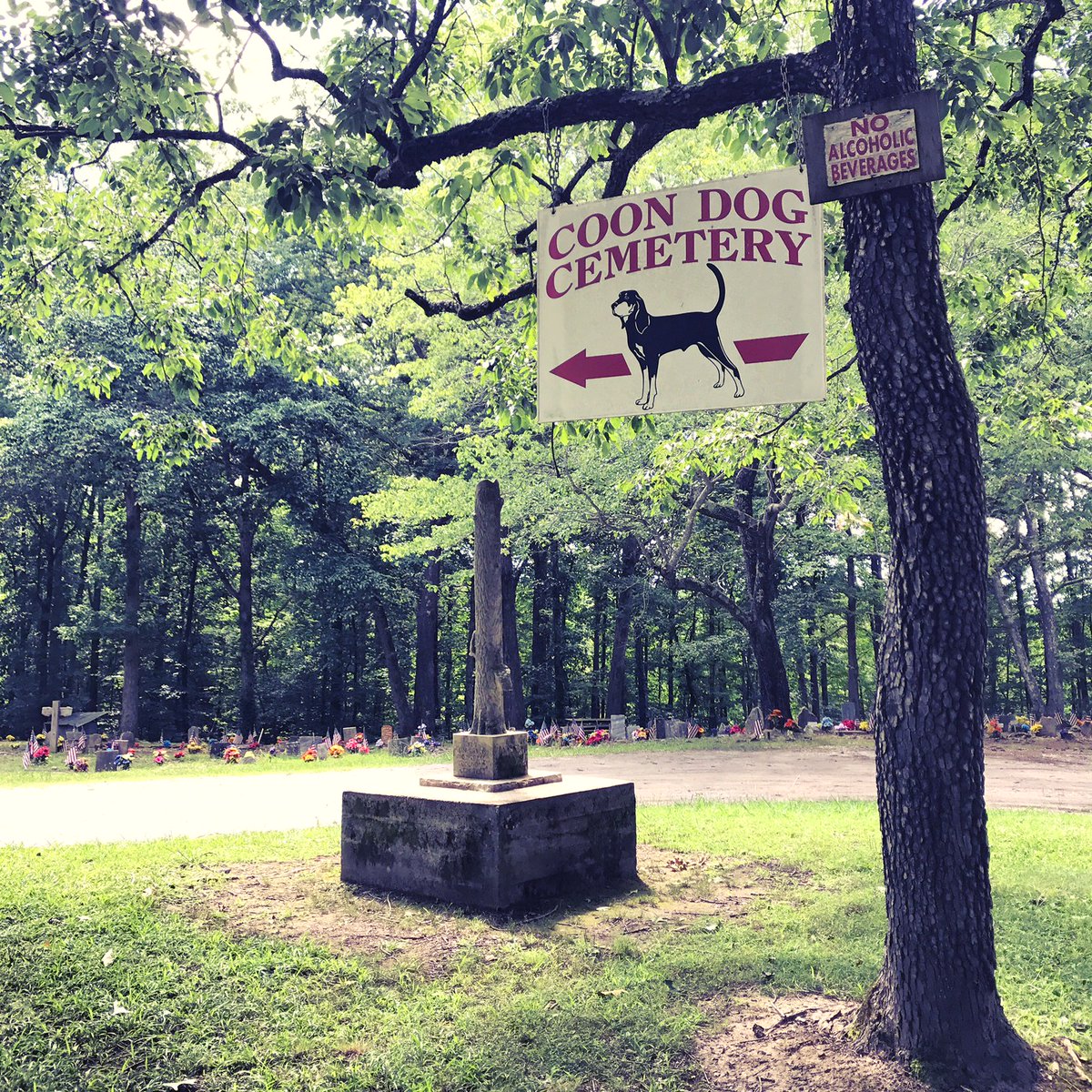 visitnorthal's tweet photo. Another out in the middle of nowhere place is the Coon Dog Cemetery. It's the final resting place for 100s of certified coon dogs &amp; was created in 1937 by Key Underwood, who buried his beloved coon dog Troop. For more: https://t.co/vlj0VRrBSu. #visitnorthal #freethingstodofriday https://t.co/N38lSd9nTM